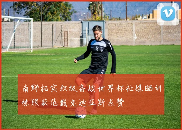 南野拓实积极备战世界杯社媒晒训练照获范戴克迪亚斯点赞