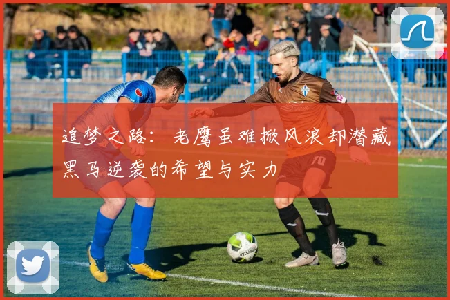 追梦之路：老鹰虽难掀风浪却潜藏黑马逆袭的希望与实力