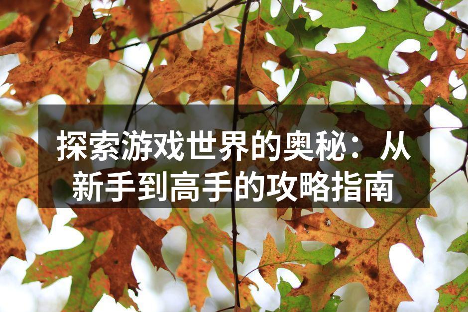 探索游戏世界的奥秘：从新手到高手的攻略指南